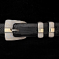 CLAY 1704 STERLING WRIGGLE GOLD BAR BUCKLE SET