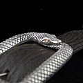 STERLING SILVER OUROBOROS SNAKE BUCKLE WITH SPESSARTITE EYES