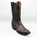 STUART WILD AMERICAN ALLIGATOR