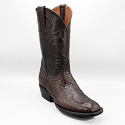 STUART WILD AMERICAN ALLIGATOR