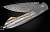 SPEARPOINT STORMS END FOSSIL MAMMOTH TOOTH FOLDING KNIFE